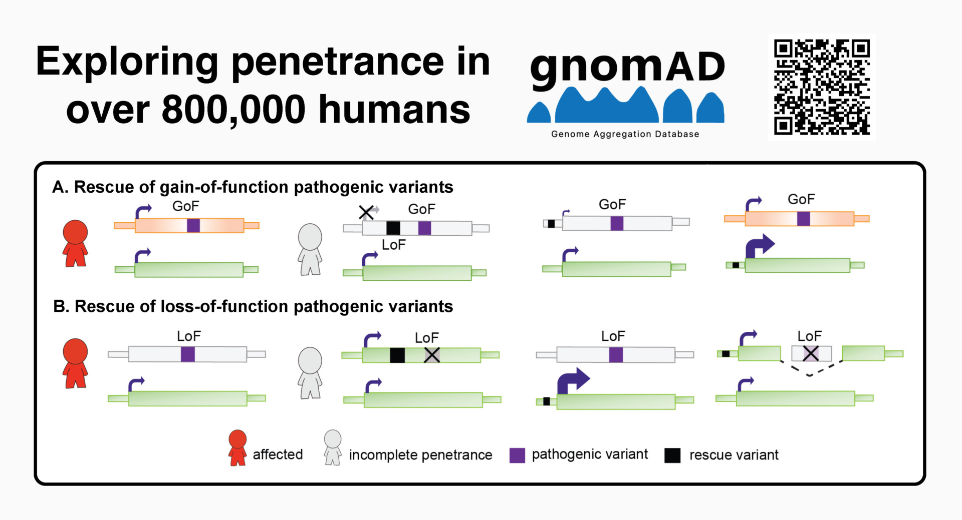 Understanding Genetic Variants and Disease Risk Using Over 100,000 ...
